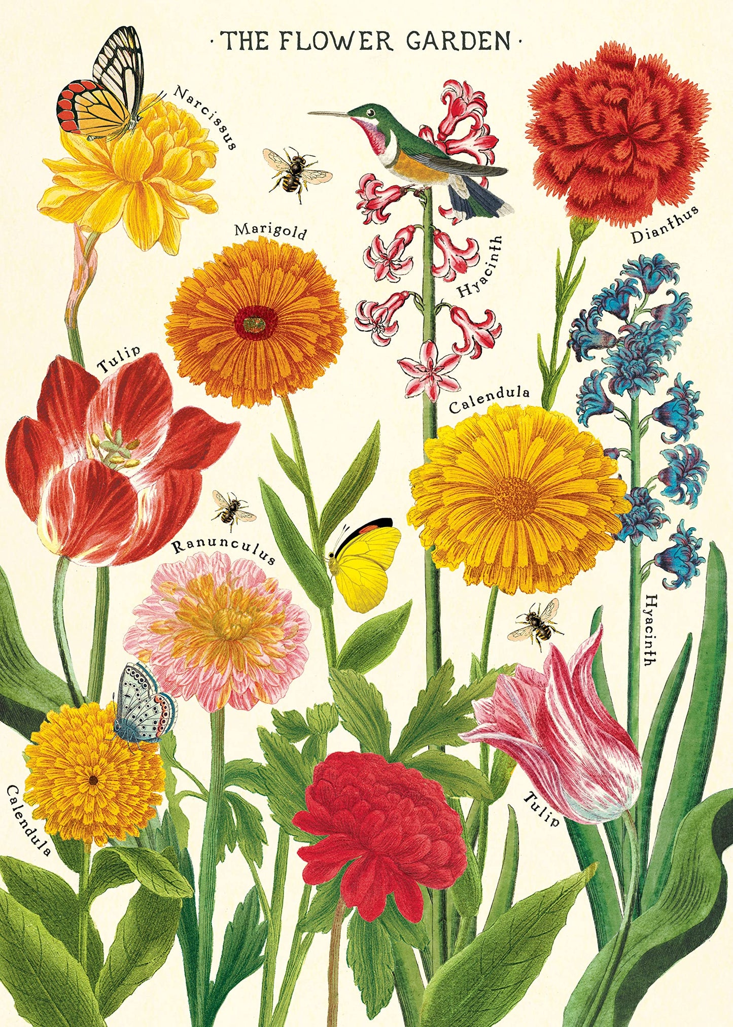 Cavallini Education Poster 教具海報 (Not available for toy library)