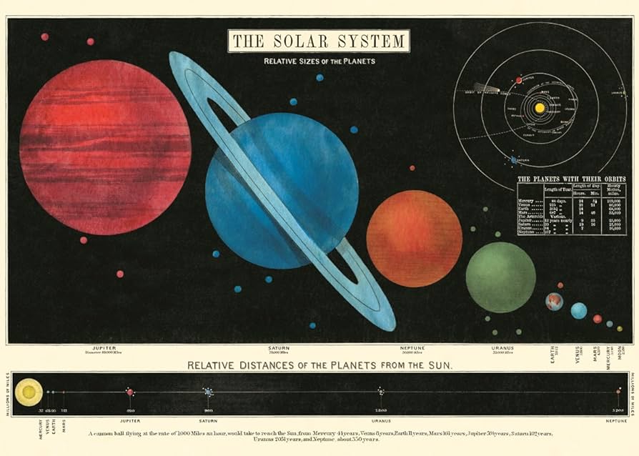 Cavallini Education Poster 教具海報 (Not available for toy library)