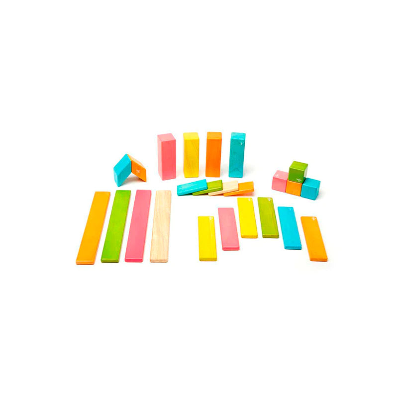 Tegu - 24-Piece Set Magnetic Wooden Blocks Tegu Classicss - Tint (4 Credits)