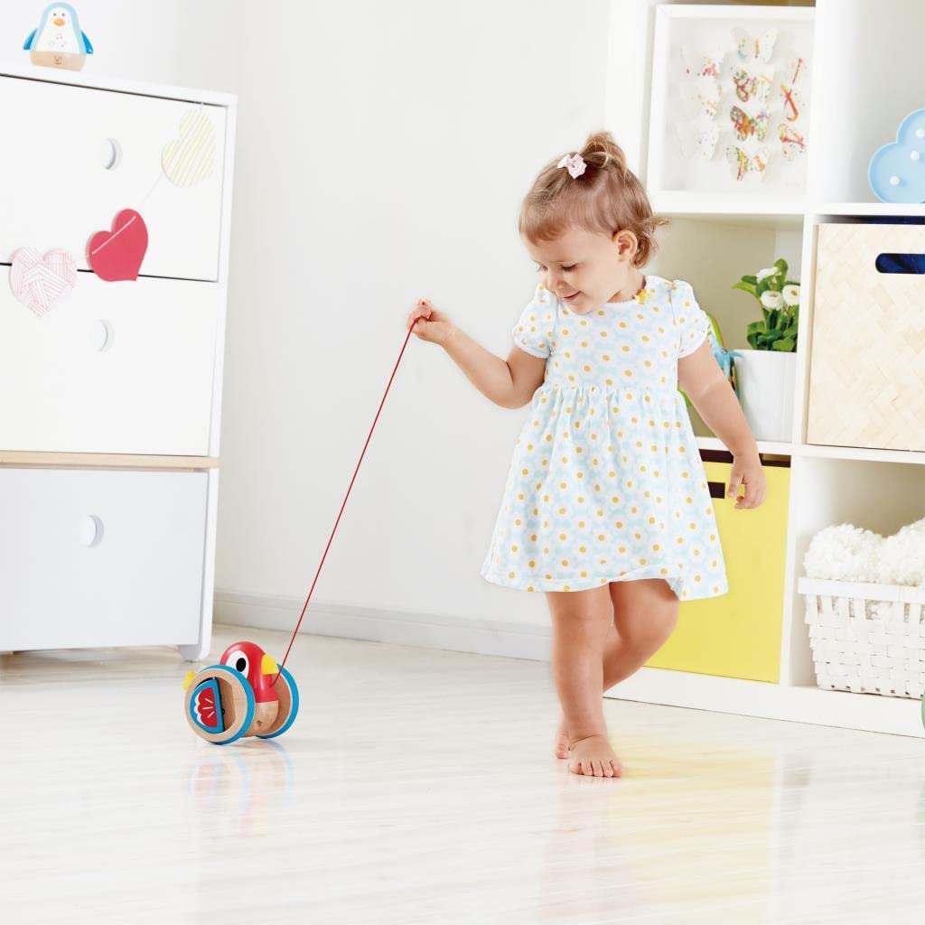Hape - BABY BIRD PULL ALONG (2 Credits 2個玩具代金)(Toy Library Only)