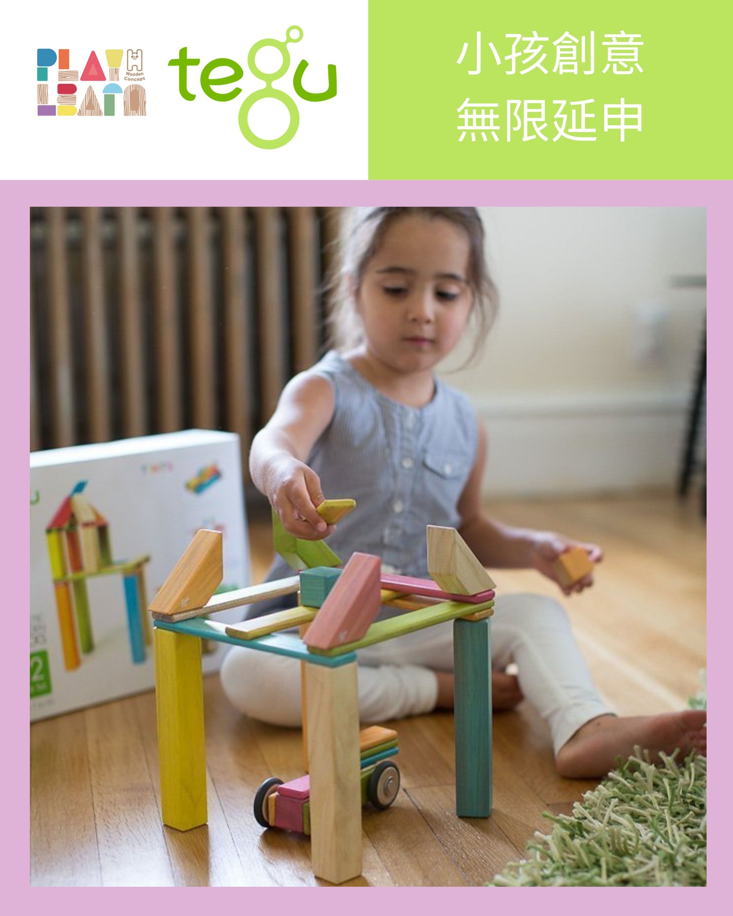 Tegu - 24-Piece Set Magnetic Wooden Blocks Tegu Classicss - Tint (4 Credits)