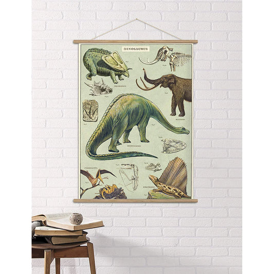 Cavallini Education Poster 教具海報 (Not available for toy library)