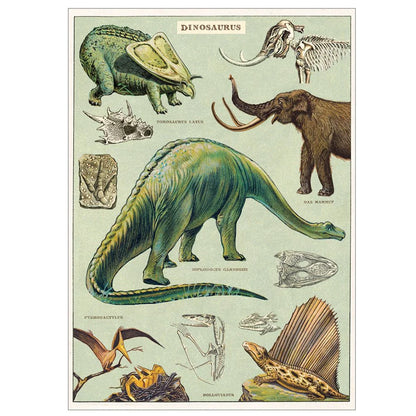 Cavallini Education Poster 教具海報 (Not available for toy library)