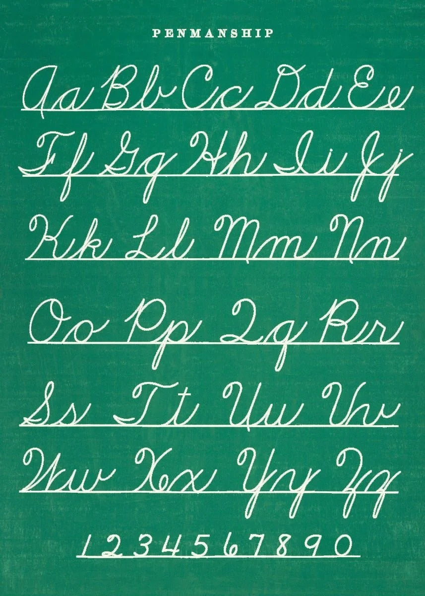 Cavallini Education Poster 教具海報 (Not available for toy library)