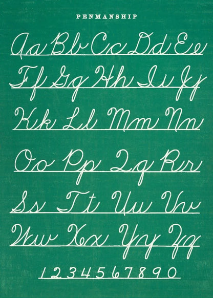 Cavallini Education Poster 教具海報 (Not available for toy library)