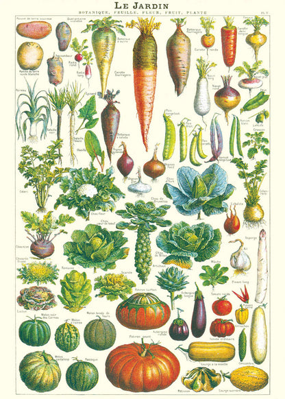 Cavallini Education Poster 教具海報 (Not available for toy library)