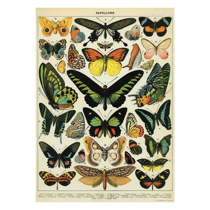 Cavallini Education Poster 教具海報 (Not available for toy library)