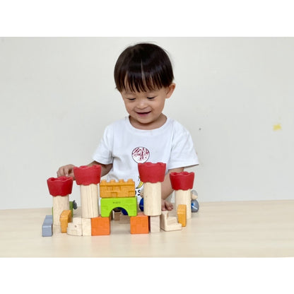 PlanToys - CASTLE BLOCKS (2 credits 2個玩具代金)