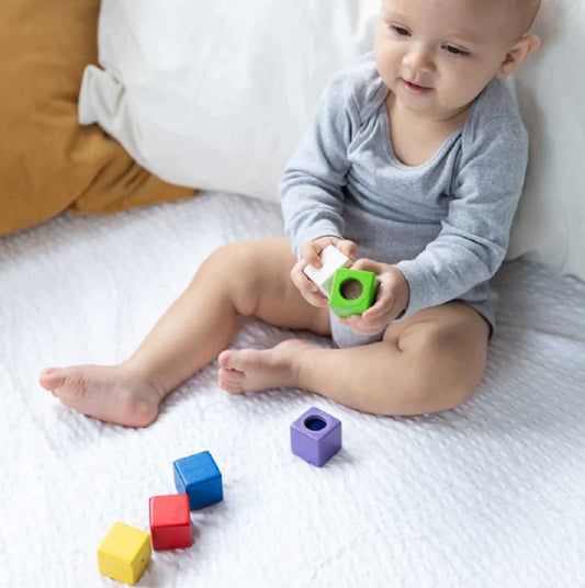 PlanToys - ACTIVITY BLOCKS (2 credits 2個玩具代金)(Toy Library Only)
