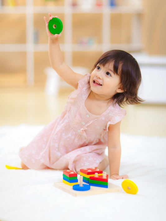 PlanToys - GEOMETRIC SORTING BOARD (2 credits 2個玩具代金)(Toy Library Only)