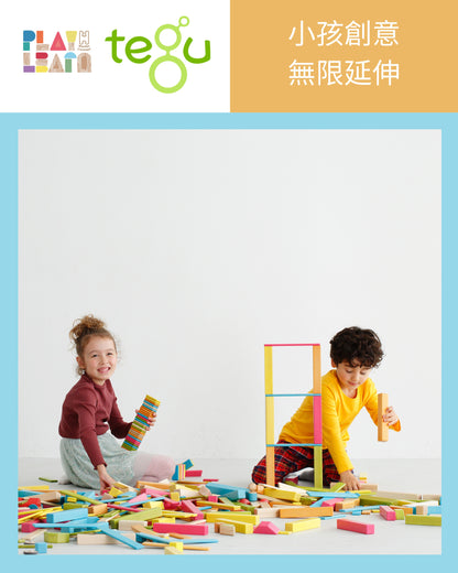 Tegu - 24-Piece Set Magnetic Wooden Blocks Tegu Classicss - Tint (4 Credits)